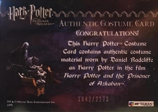 Harry Potter's Quidditch Costume - Back