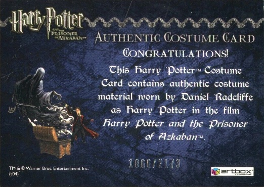 Harry Potter's Quidditch Costume - Back