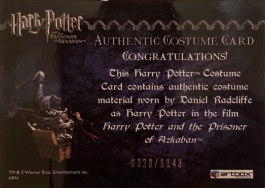 Harry Potter's Quidditch Robe - Back