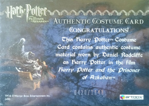 Harry Potter's Quidditch Robe - Back