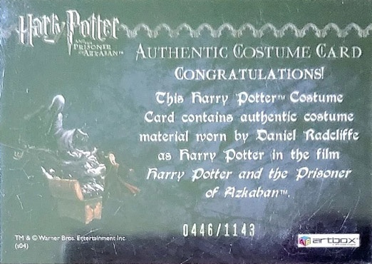 Harry Potter's Quidditch Robe - Back