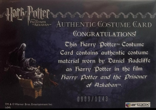 Harry Potter's Quidditch Robe - Back