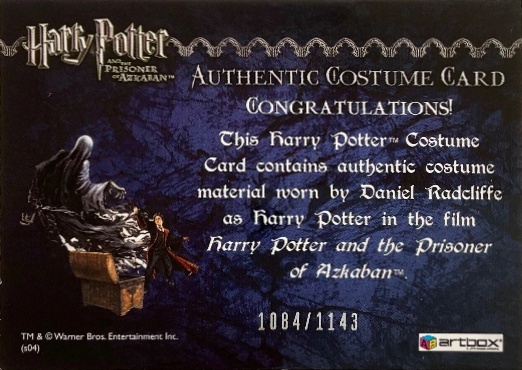 Harry Potter's Quidditch Robe - Back