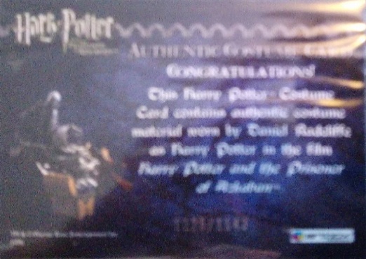 Harry Potter's Quidditch Robe - Back