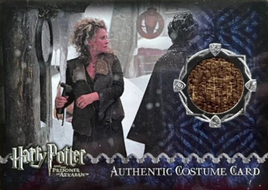 Madame Rosmerta's Brown Top - Front