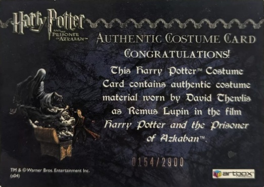 Remus Lupin's Jacket - Back