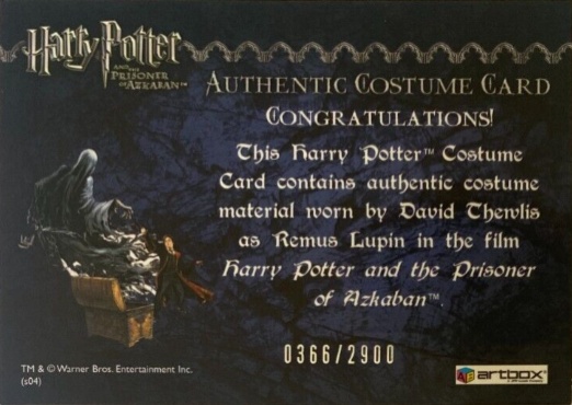 Remus Lupin's Jacket - Back