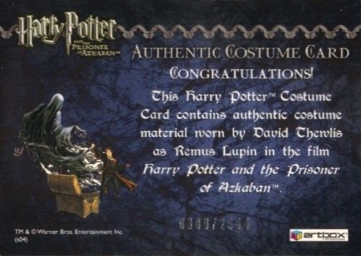 Remus Lupin's Jacket - Back