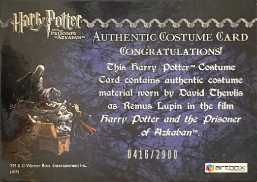 Remus Lupin's Jacket - Back