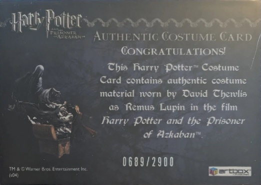 Remus Lupin's Jacket - Back