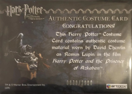Remus Lupin's Jacket - Back