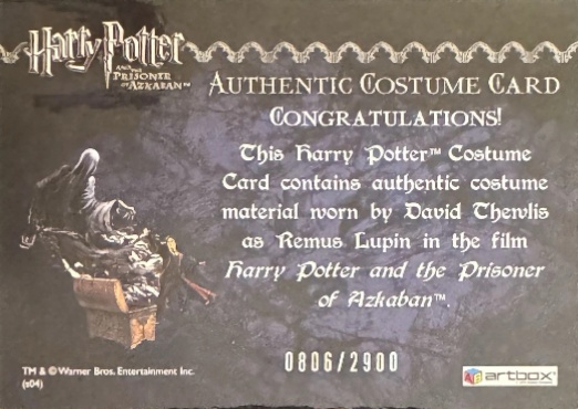 Remus Lupin's Jacket - Back