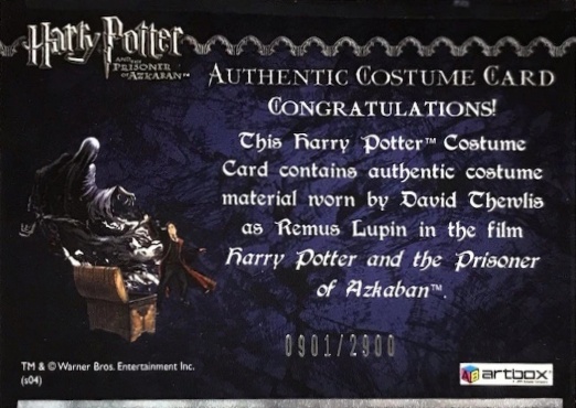 Remus Lupin's Jacket - Back