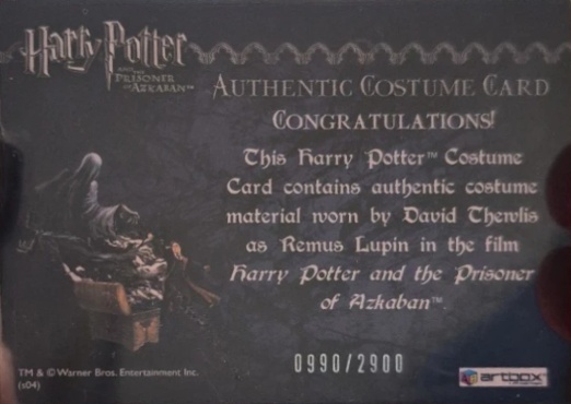 Remus Lupin's Jacket - Back