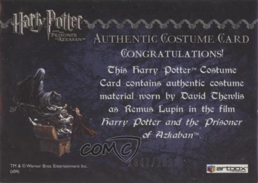 Remus Lupin's Jacket - Back