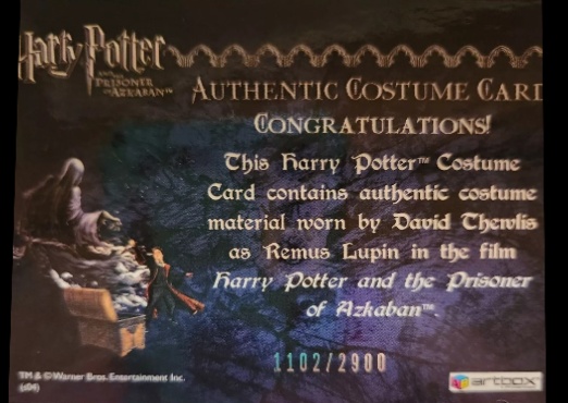 Remus Lupin's Jacket - Back