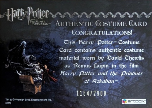 Remus Lupin's Jacket - Back