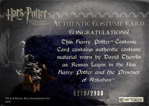 Remus Lupin's Jacket - Back