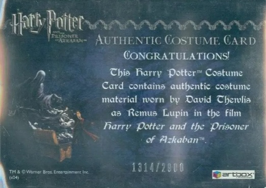 Remus Lupin's Jacket - Back