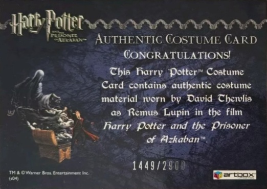 Remus Lupin's Jacket - Back