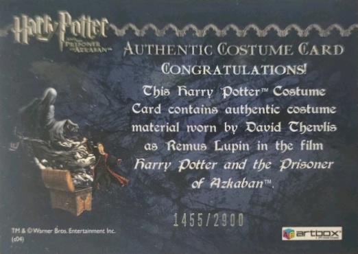 Remus Lupin's Jacket - Back