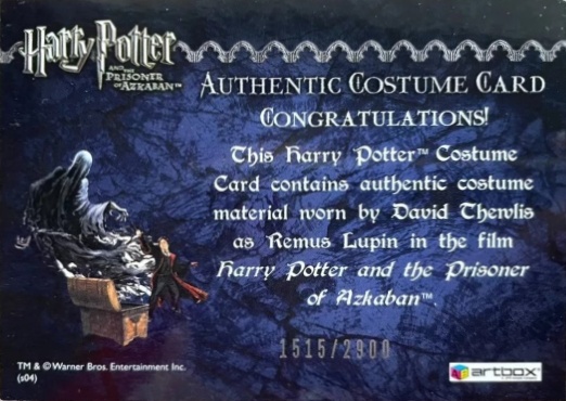 Remus Lupin's Jacket - Back