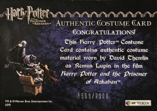 Remus Lupin's Jacket - Back