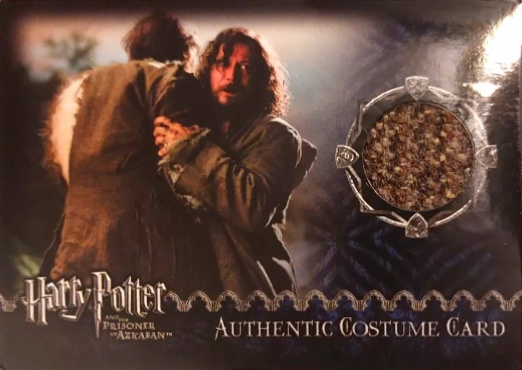 Remus Lupin's Jacket - Front