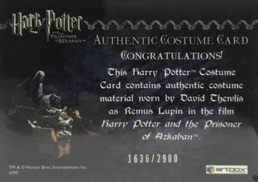 Remus Lupin's Jacket - Back