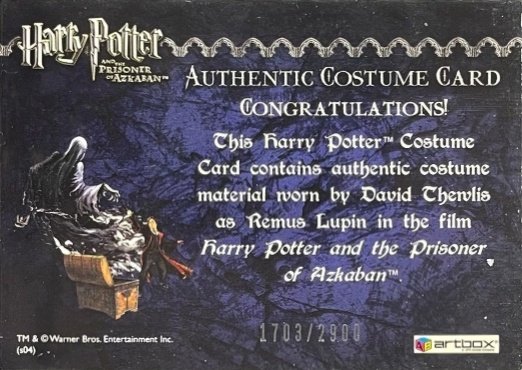 Remus Lupin's Jacket - Back