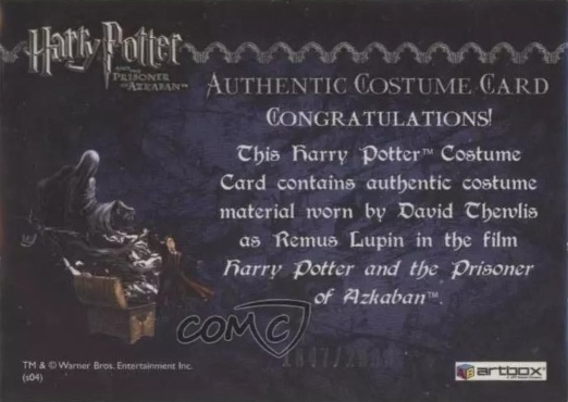 Remus Lupin's Jacket - Back