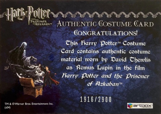 Remus Lupin's Jacket - Back