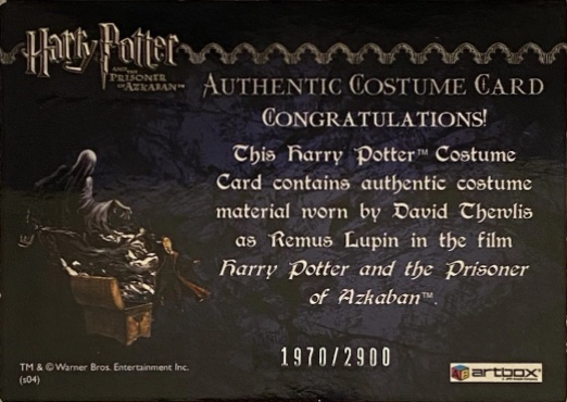 Remus Lupin's Jacket - Back