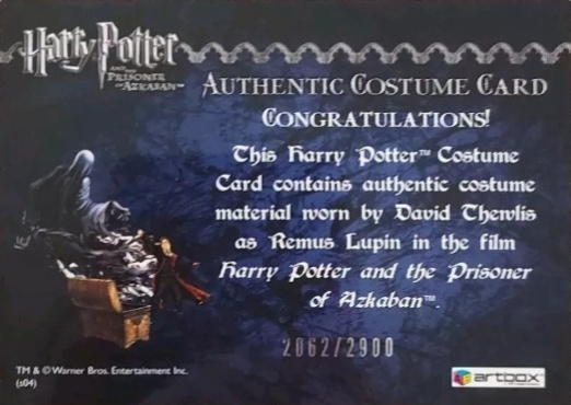 Remus Lupin's Jacket - Back