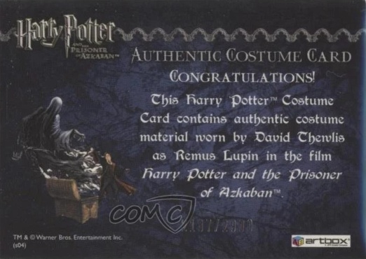 Remus Lupin's Jacket - Back