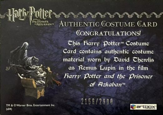 Remus Lupin's Jacket - Back