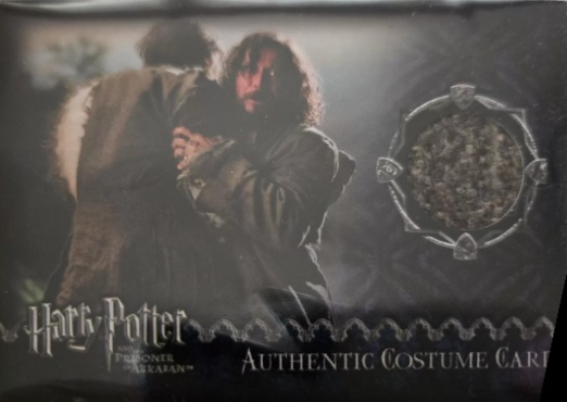 Remus Lupin's Jacket - Front