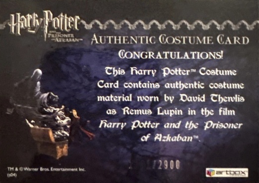 Remus Lupin's Jacket - Back