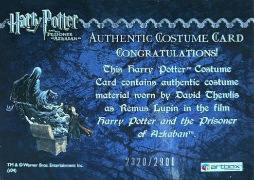 Remus Lupin's Jacket - Back