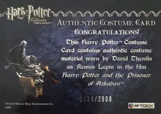 Remus Lupin's Jacket - Back