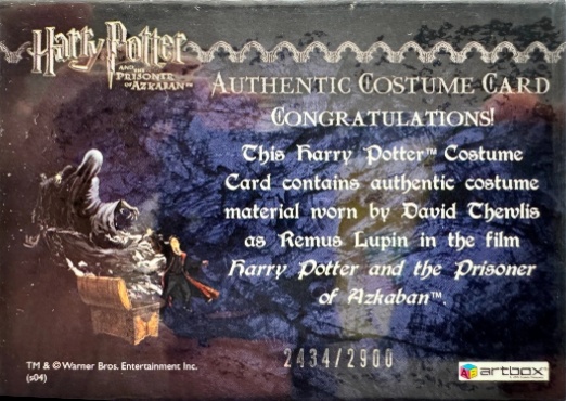 Remus Lupin's Jacket - Back