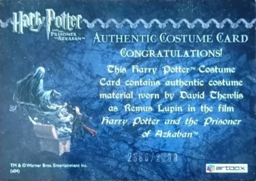 Remus Lupin's Jacket - Back