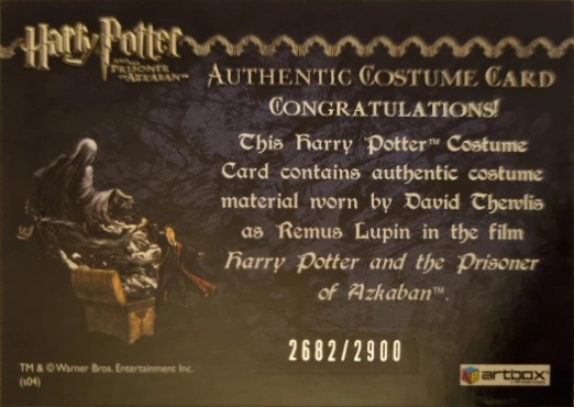 Remus Lupin's Jacket - Back