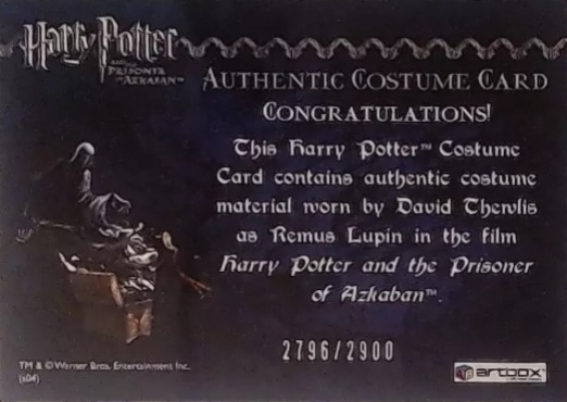 Remus Lupin's Jacket - Back