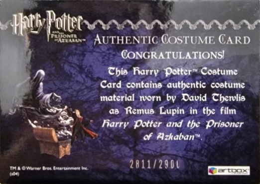 Remus Lupin's Jacket - Back