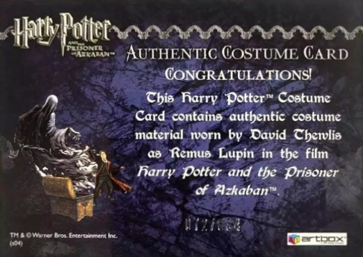 Remus Lupin's Shirt - Back