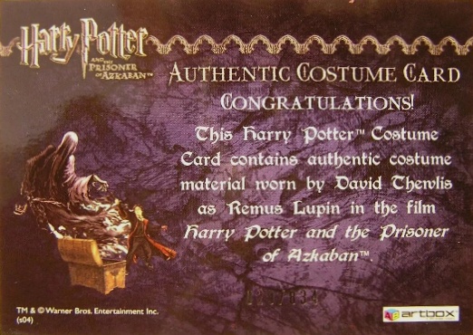 Remus Lupin's Shirt - Back