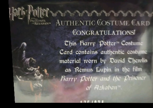 Remus Lupin's Shirt - Back