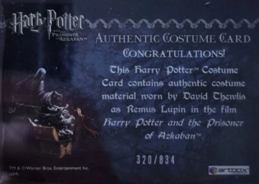 Remus Lupin's Shirt - Back