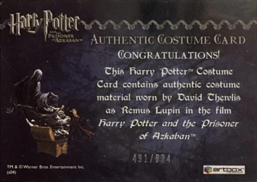 Remus Lupin's Shirt - Back